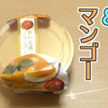 うさぎの夢二層デザート杏仁豆腐＆マンゴー和三盆仕立て(徳島産業)、多種多様なお味
