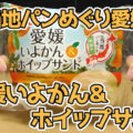 ご当地パンめぐり愛媛県 愛媛いよかん＆ホイップサンド(フジパン)、いよかん使用のマーマレードとホイップクリームをサンド！