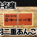 福井名産 羽二重あんころ餅(新珠製菓株式会社)、北海道産小豆使用、食べやすい一口サイズ！