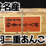 福井名産-羽二重あんころ餅(新珠製菓株式会社)