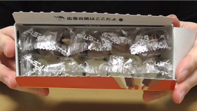 ホームランバー-バニラ＆チョコ-10本入(メイトー)4